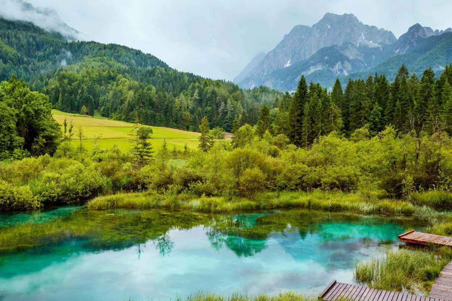 5 parchi europei poco conosciuti da scoprire questa primavera: c'è anche un paradiso italiano (con cervi e cascate)