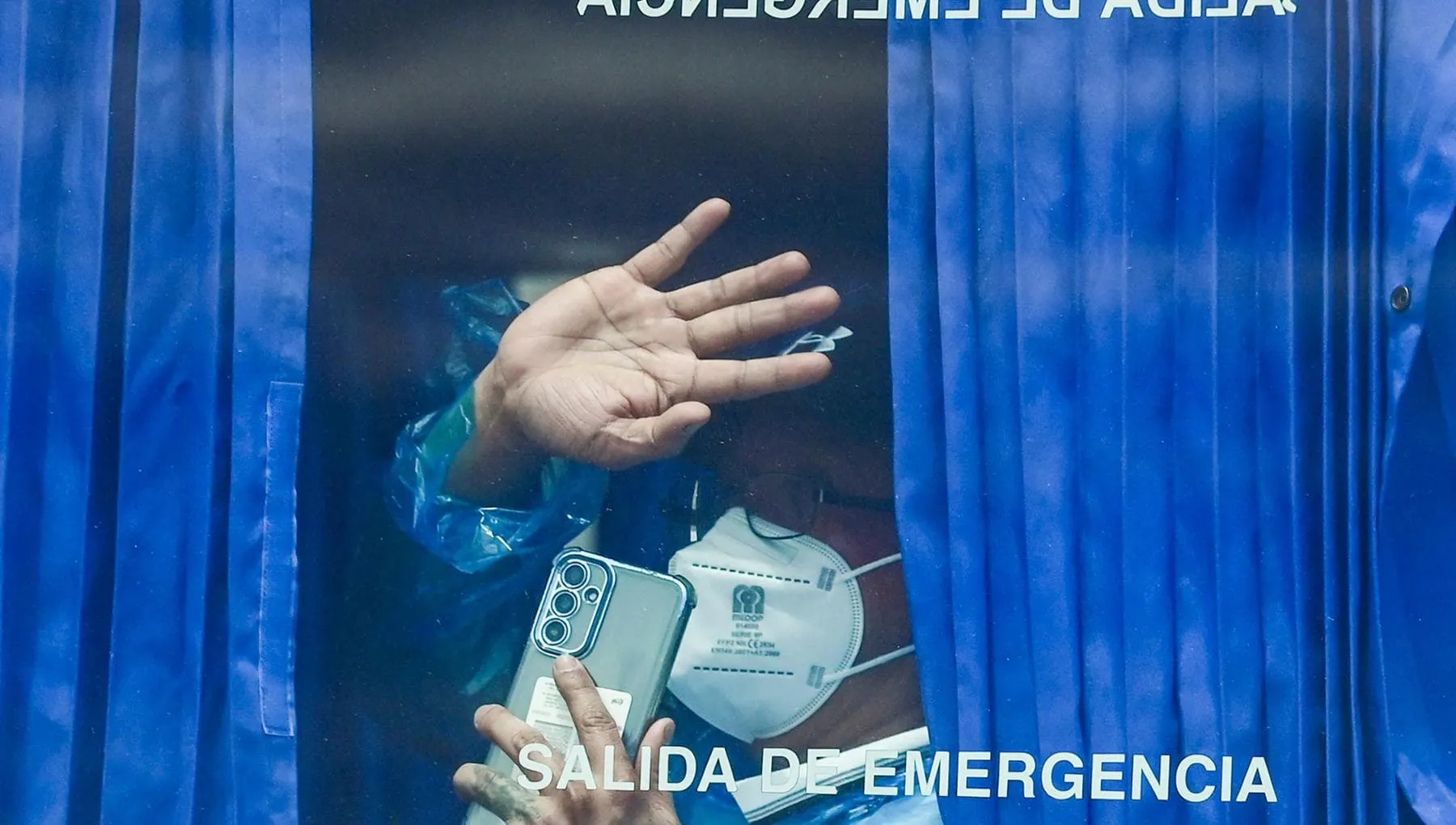 Hantavirus, quanto sono pericolosi e perché gli asintomatici