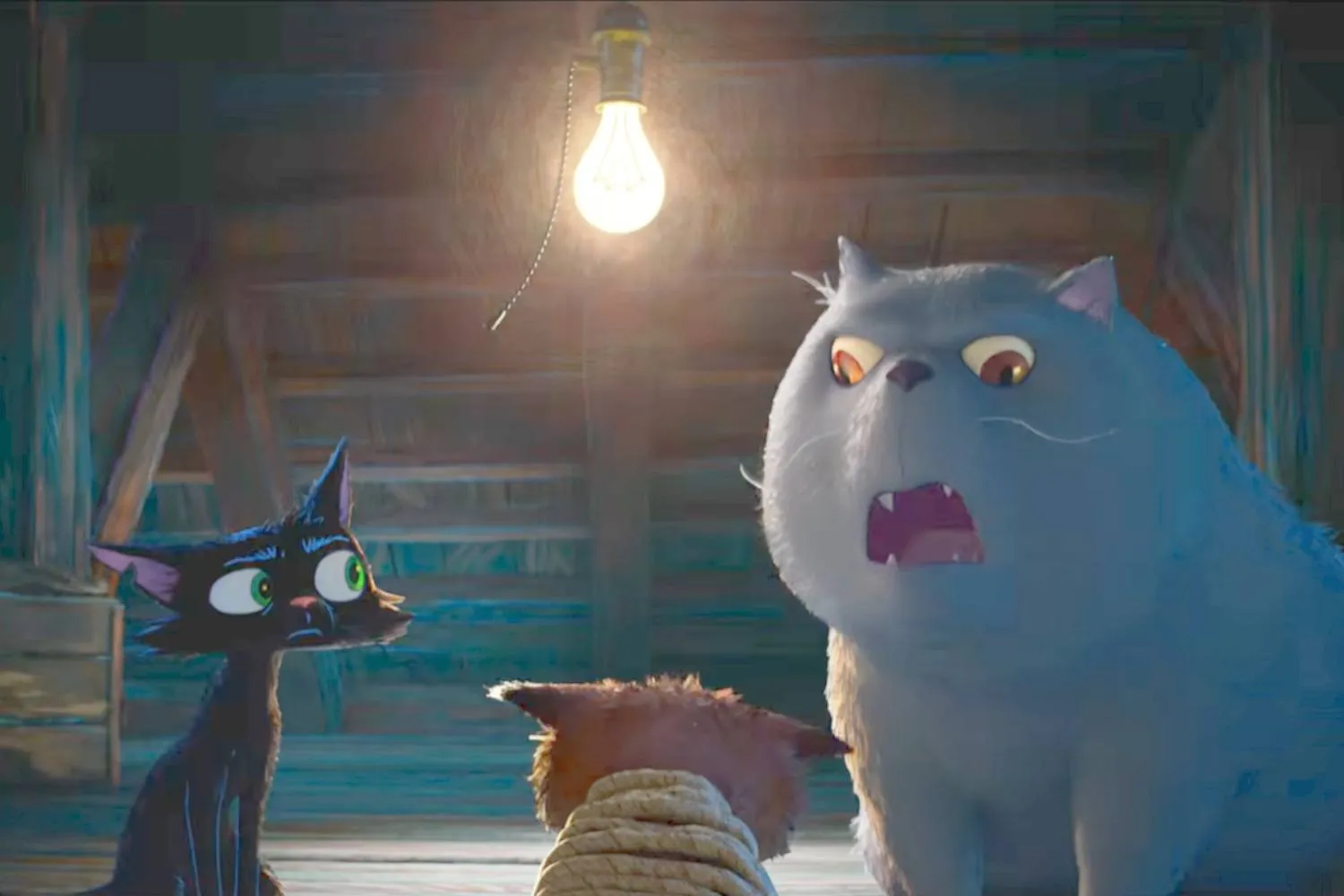 Disney e Pixar presentano il trailer di “Gatto”, il nuovo film d’animazione con protagonista un randagio (e ambientato a Venezia)