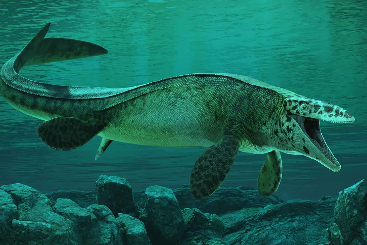 Scoperto il “T. rex dei mari”, con denti seghettati e mascelle da predatore, di 80 milioni di anni fa