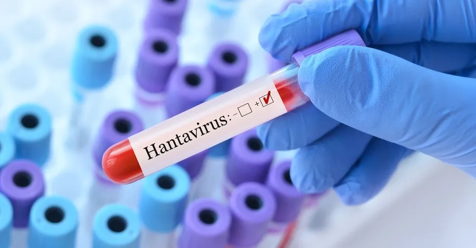 Hantavirus, Schillaci: «Rischio molto basso  ma in ogni caso il Piano pandemico funziona»