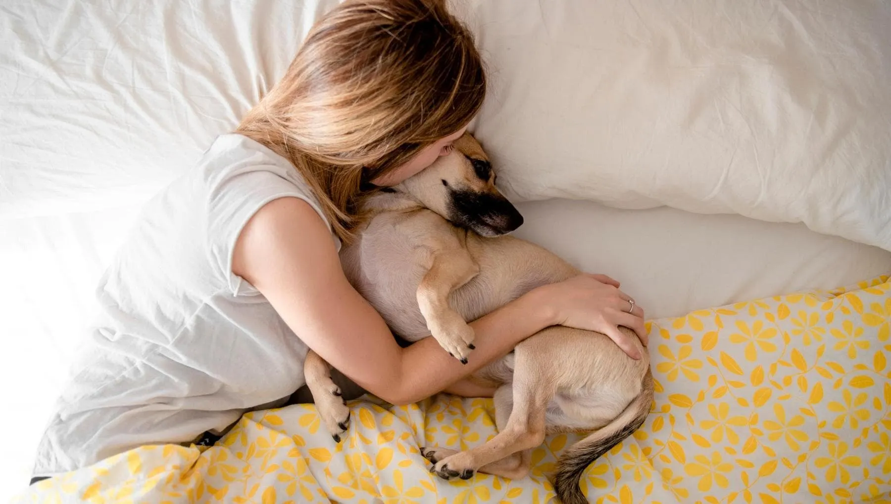 Sonno, come cambia se portiamo il cane nel letto