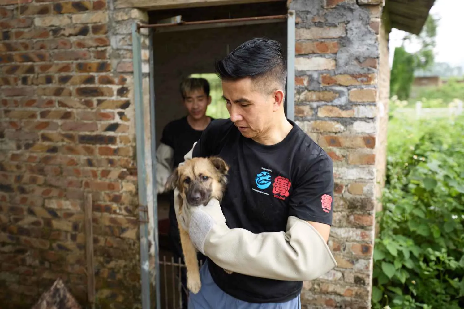 Fine dell'orrore, chiuso un mattatoio a Yulin: in salvo 9 cani destinati a diventare carne da macello in Cina