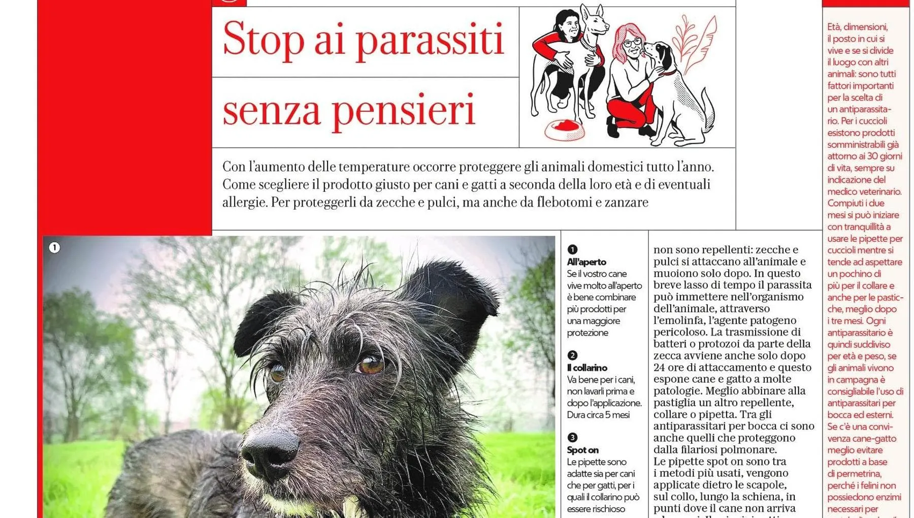In edicola Salute, tanta medicina e non solo (anche per i nostri animali)