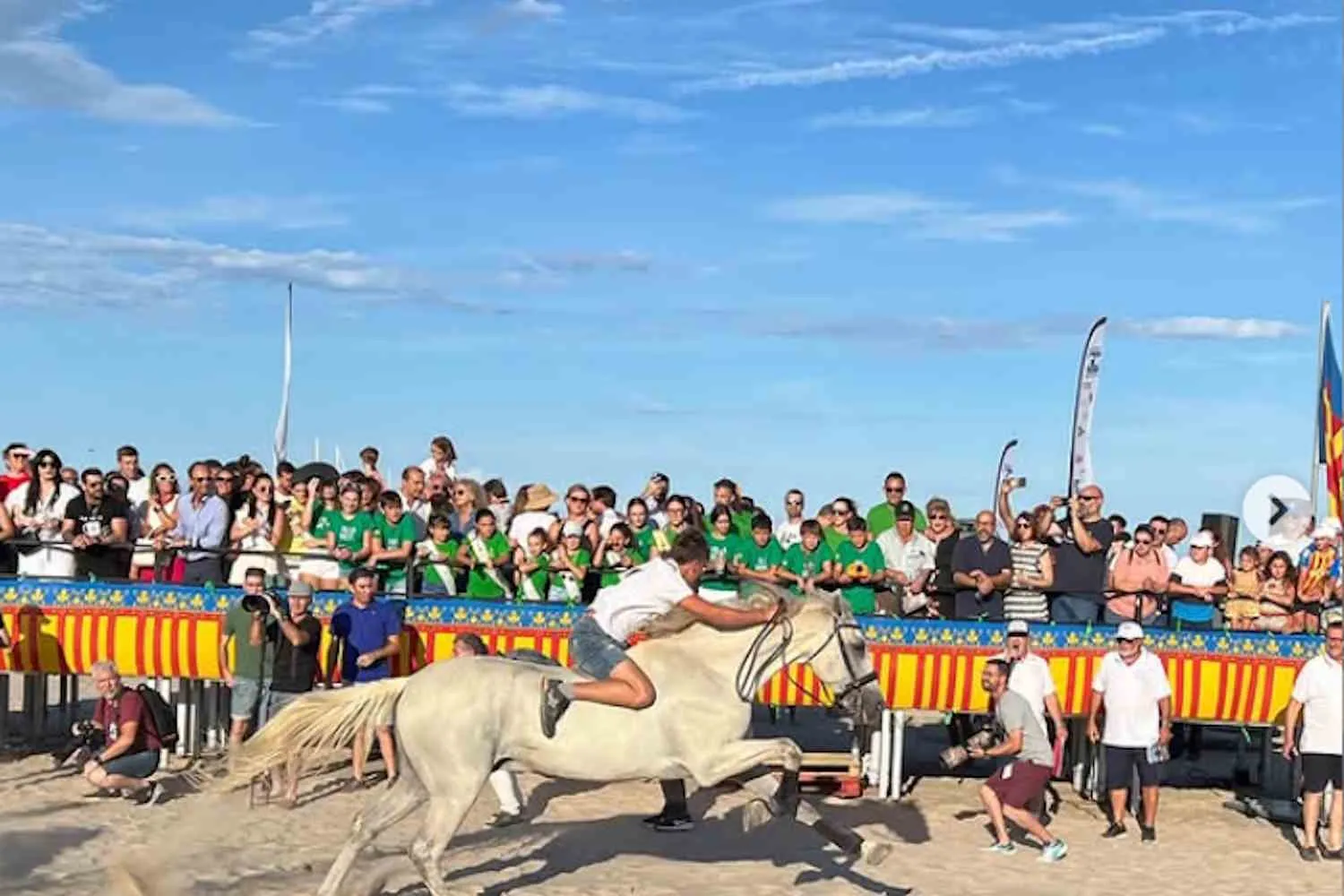 Corregudes de Joies: tornano le folli corse di cavalli sulla spiaggia di Valencia: caldo, sabbia e polemiche (ma la tradizione va avanti)