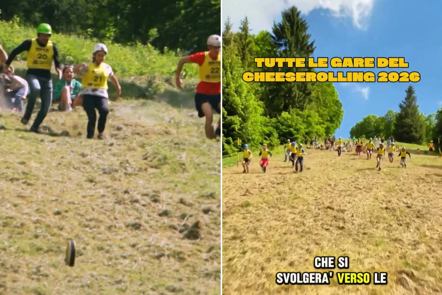 Cheese Rolling, in Trentino torna la folle corsa dietro una forma di formaggio giù da un pendio (tra cadute, risate e adrenalina)