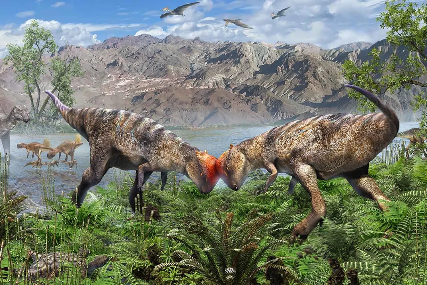 Scoperto sotto il deserto del Gobi antico dinosauro di 108 milioni di anni fa con "testa a cupola"