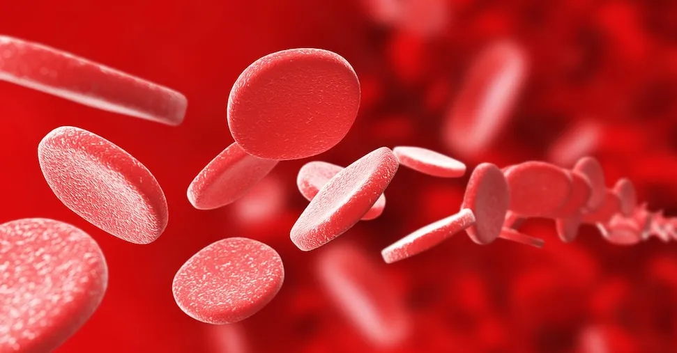 Tumori del sangue, ogni anno 30mila diagnosi  ma con la ricerca più qualità di vita e guariti