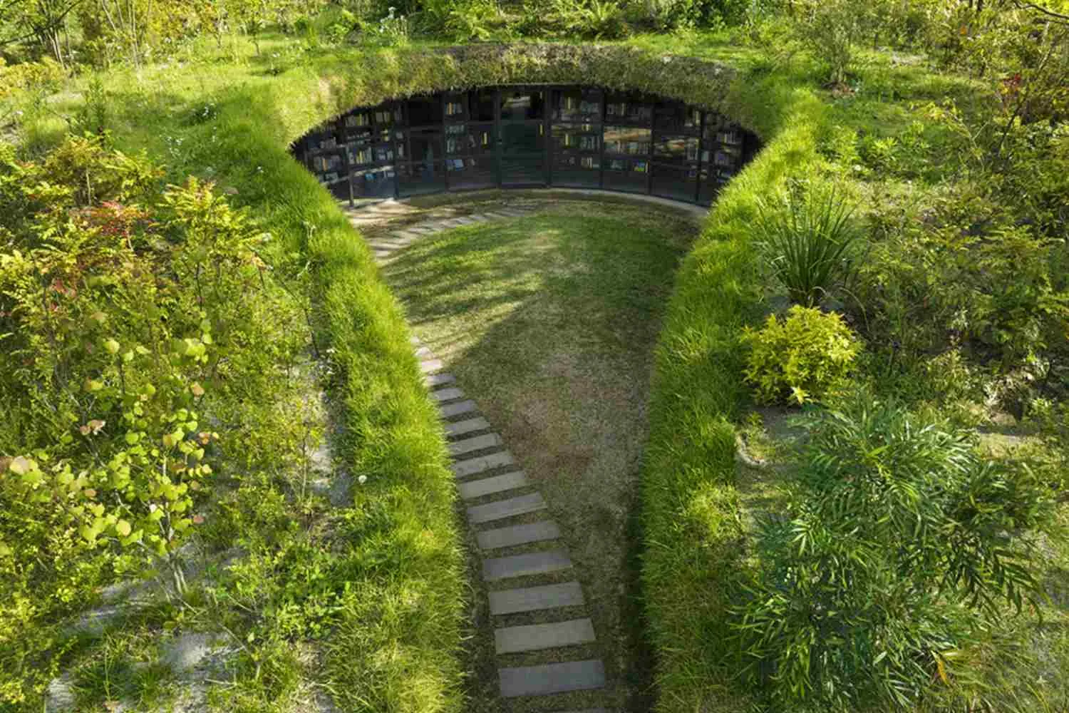 La bellezza surreale della biblioteca nascosta sotto terra in Giappone, dove la natura protegge i libri