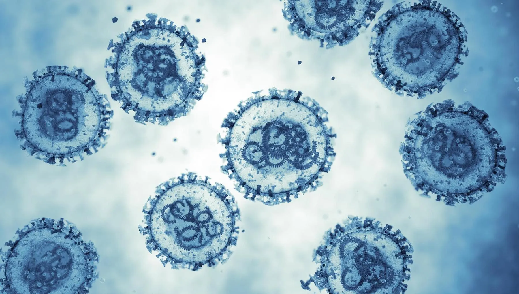 Hantavirus, positivi i dati su un vaccino a mRna per proteggere dalla malattia