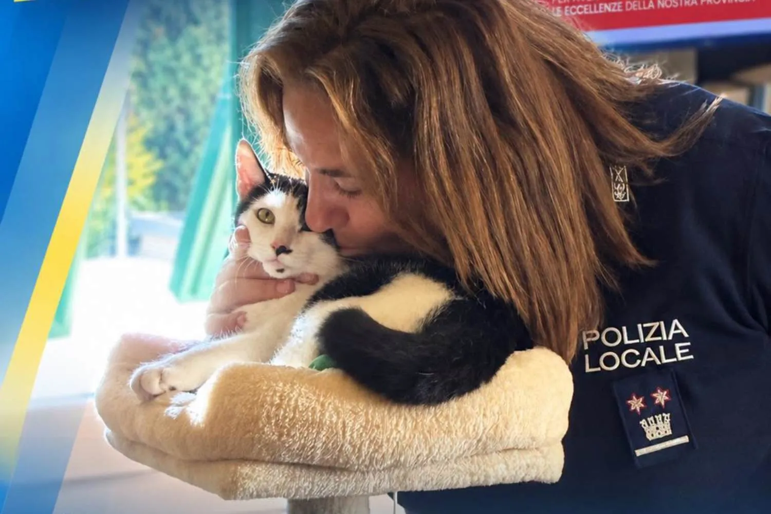 Pielle, il gatto poliziotto di Loano (salvato dalla strada), vince il premio come miglior web influencer dell'anno
