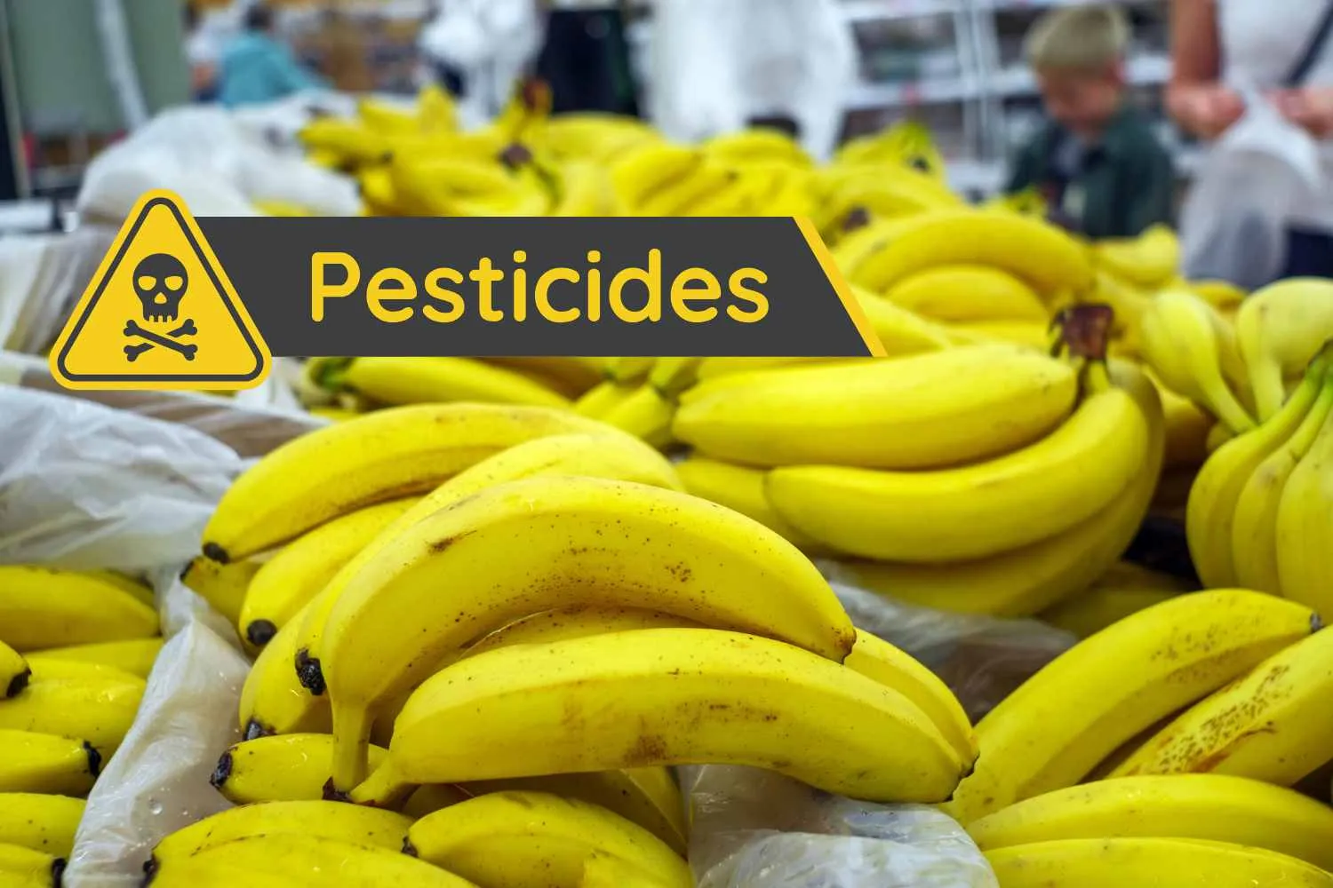 Pesticidi nelle banane, la peggiore è Del Monte (nonostante il prezzo più alto) secondo il test del Salvagente