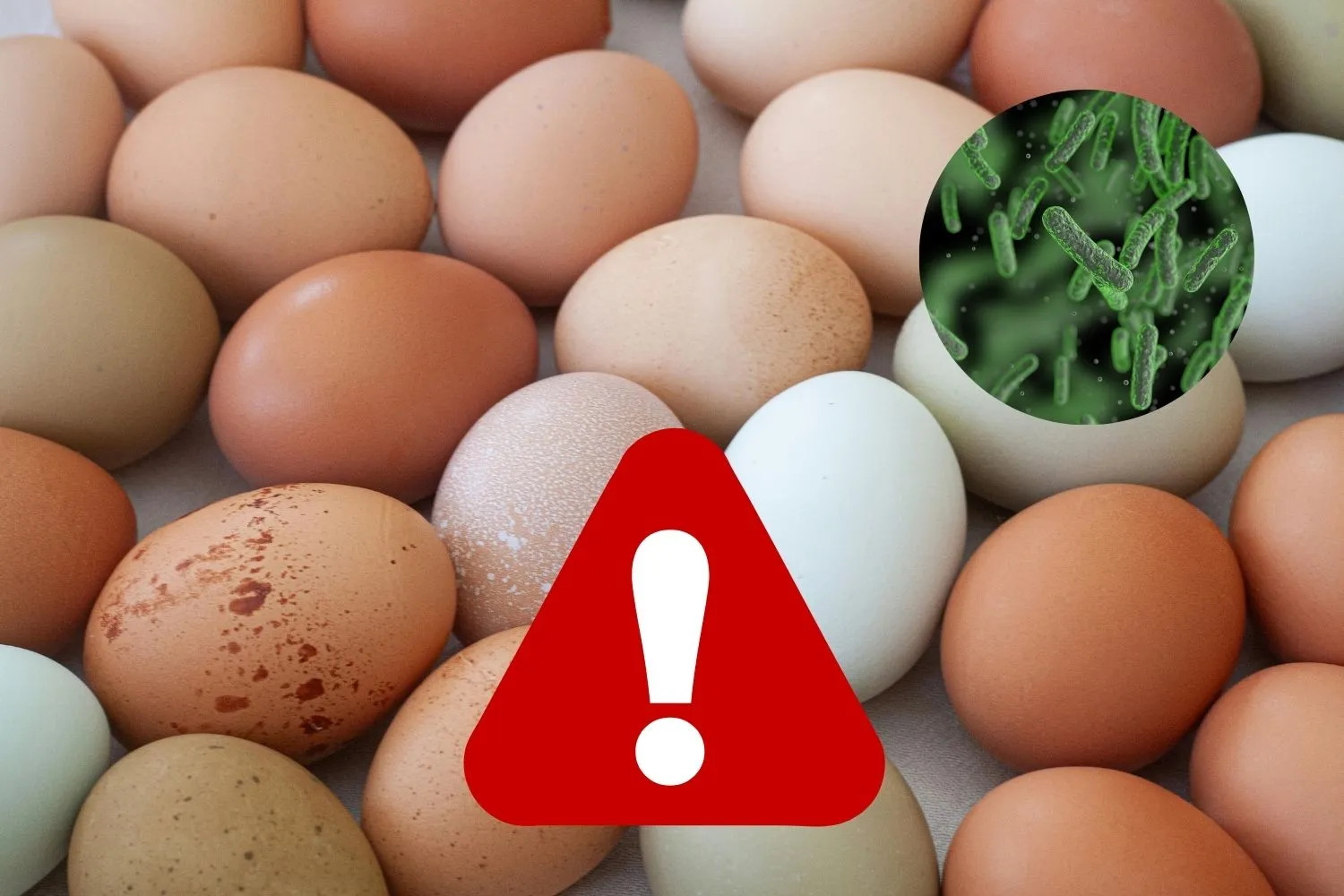 Tre marchi di uova richiamate per presenza di Salmonella: attenzione a questo lotto
