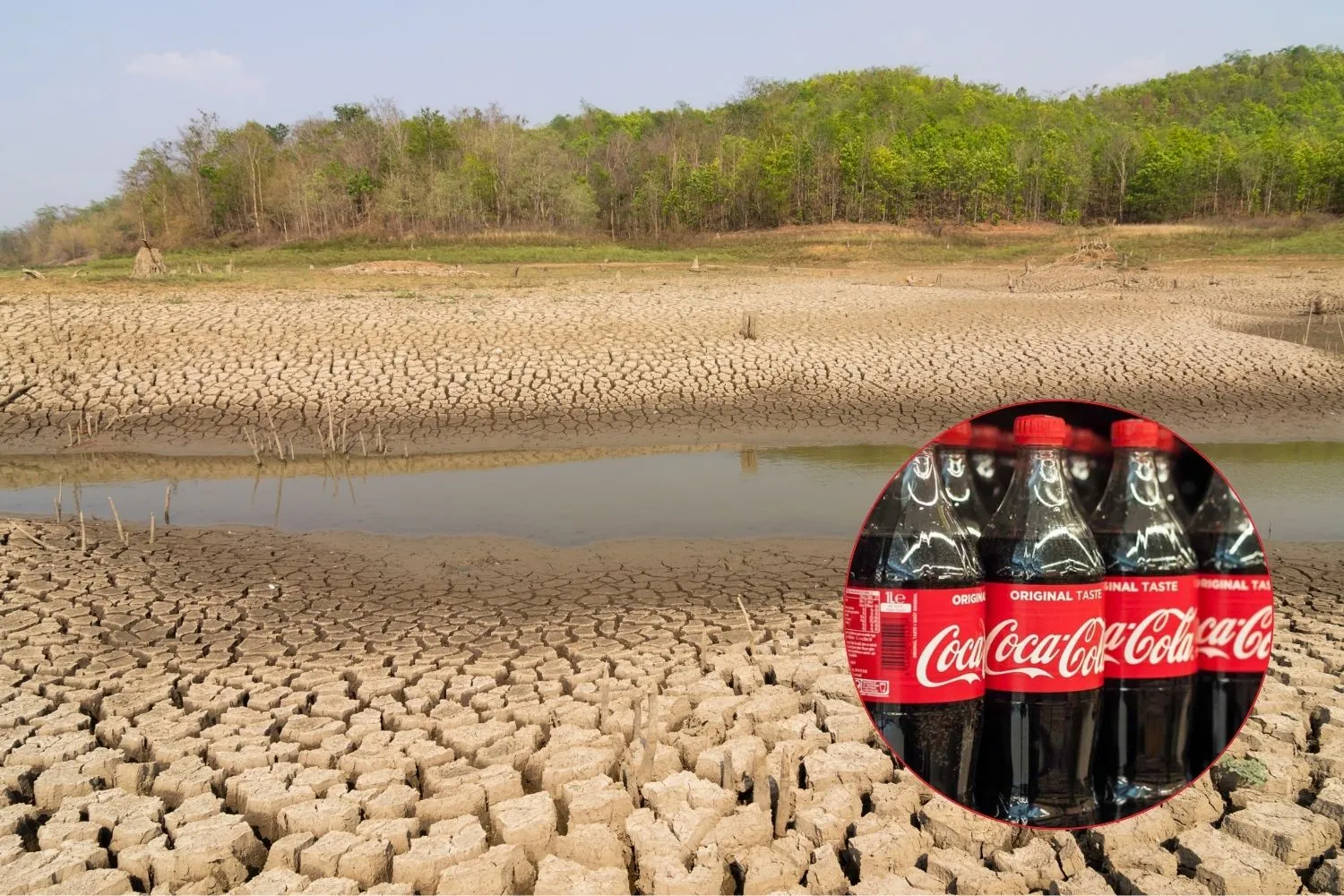 “Ci razionavano l’acqua, mentre Coca-Cola la estraeva”: comunità colombiana, in ginocchio per la siccità, vince contro la multinazionale