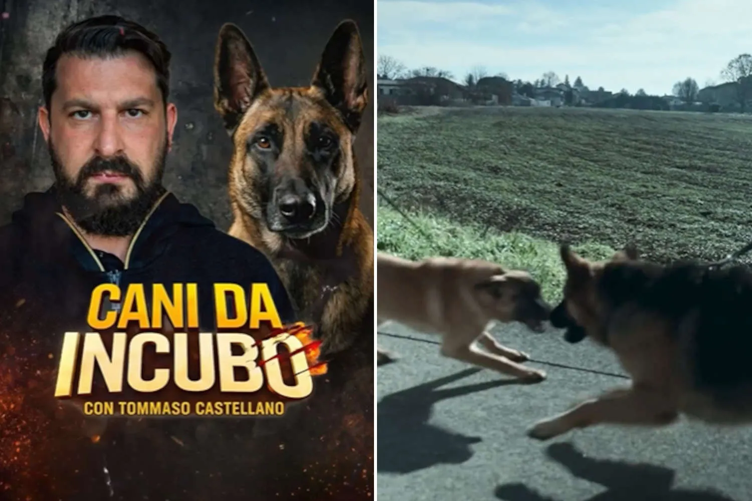 “Cani da incubo” nella bufera, veterinari ed Enpa contro la serie tv su Amazon: “basta spettacolarizzare metodi coercitivi”
