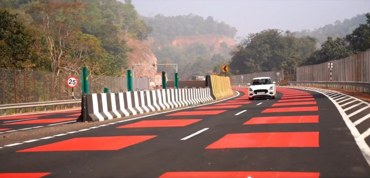 Scacchiera rossa sull'asfalto: l'ingegneria shock salva animali dell'India - HDmotori.it