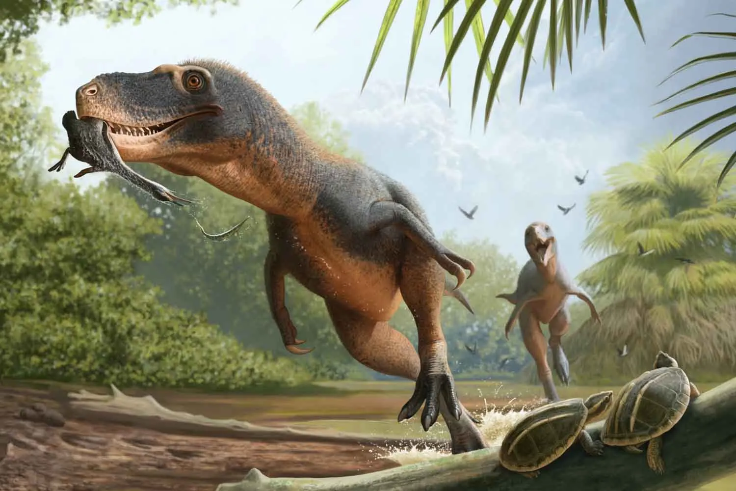 Le feci fossilizzate di un dinosauro hanno conservato le piume di un uccello estinto (e perfino il suo ultimo pasto)
