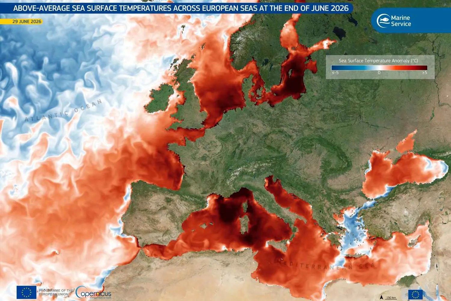 Il mar Mediterraneo è un brodo: +6°C rispetto alla media (e proliferano le specie aliene)