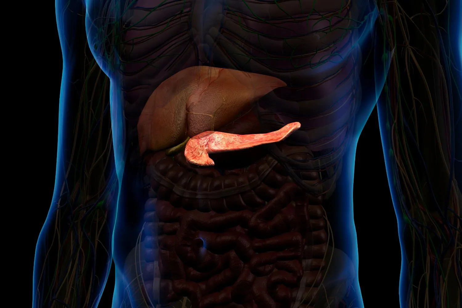 Una nuova potenziale terapia contro il cancro al pancreas sta facendo il giro del mondo, ma è davvero la rivoluzione che stavamo aspettando?