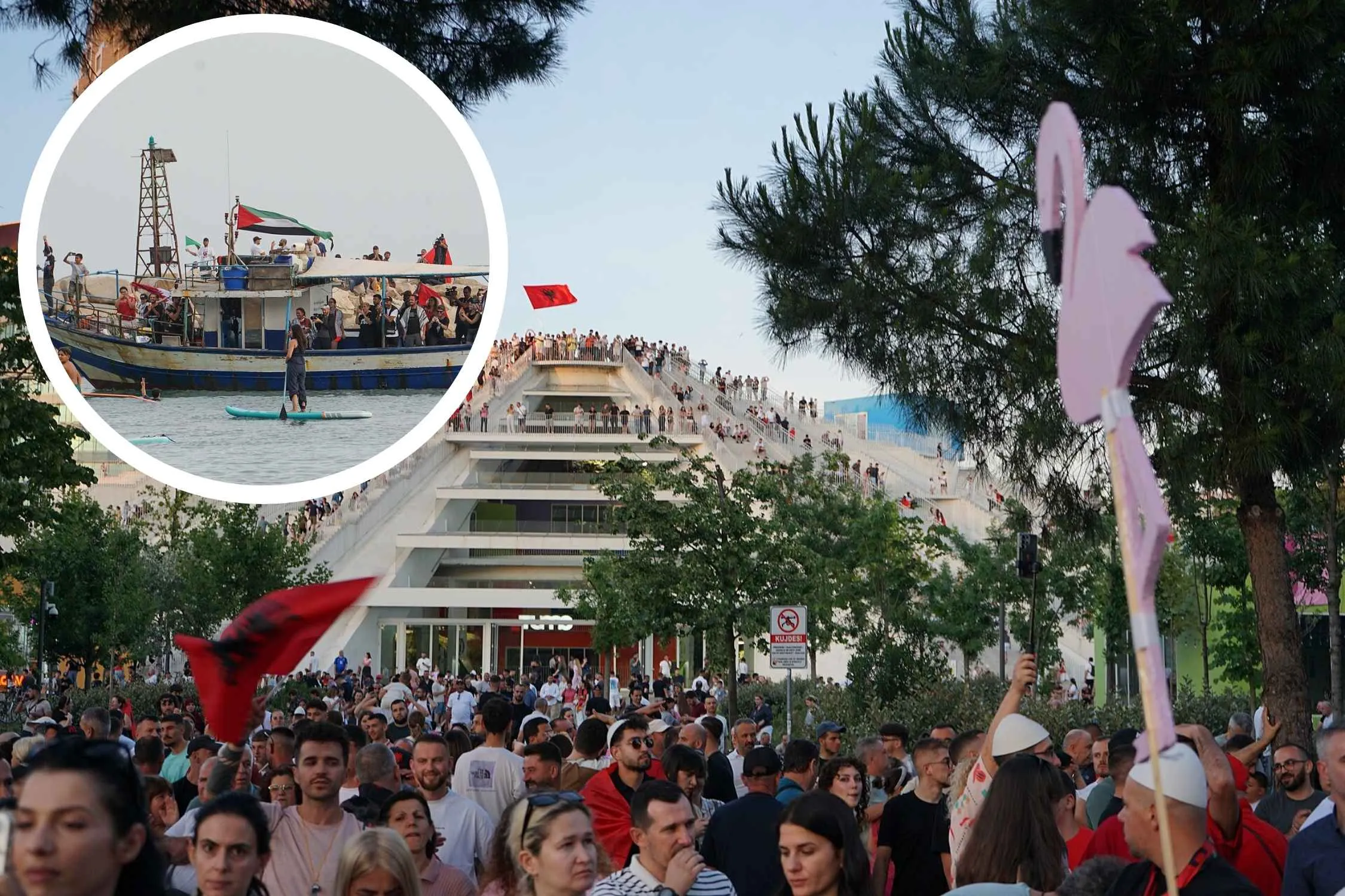 Una nuova Flotilla è pronta a salpare da Brindisi per unirsi alla rivoluzione dei fenicotteri in Albania
