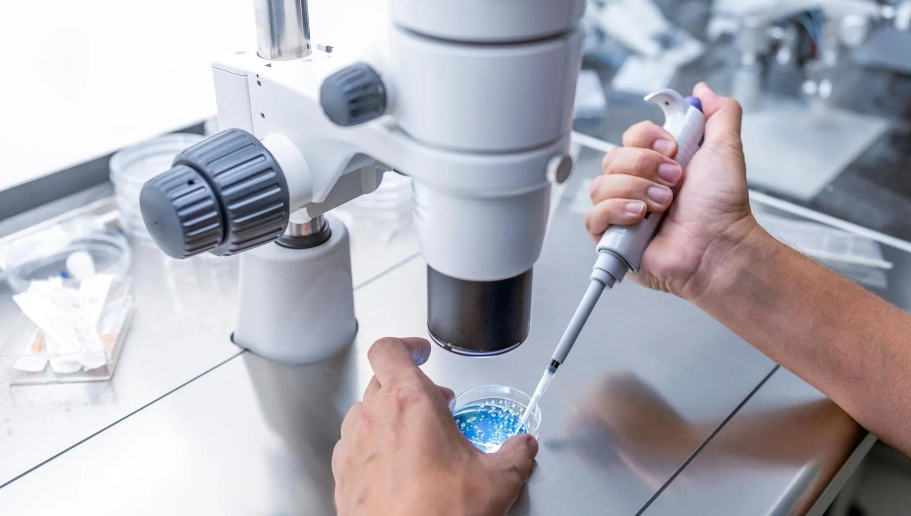 Pma e scambio provette, la Sierr: “La responsabilità non può essere di due biologhe, ma del sistema”