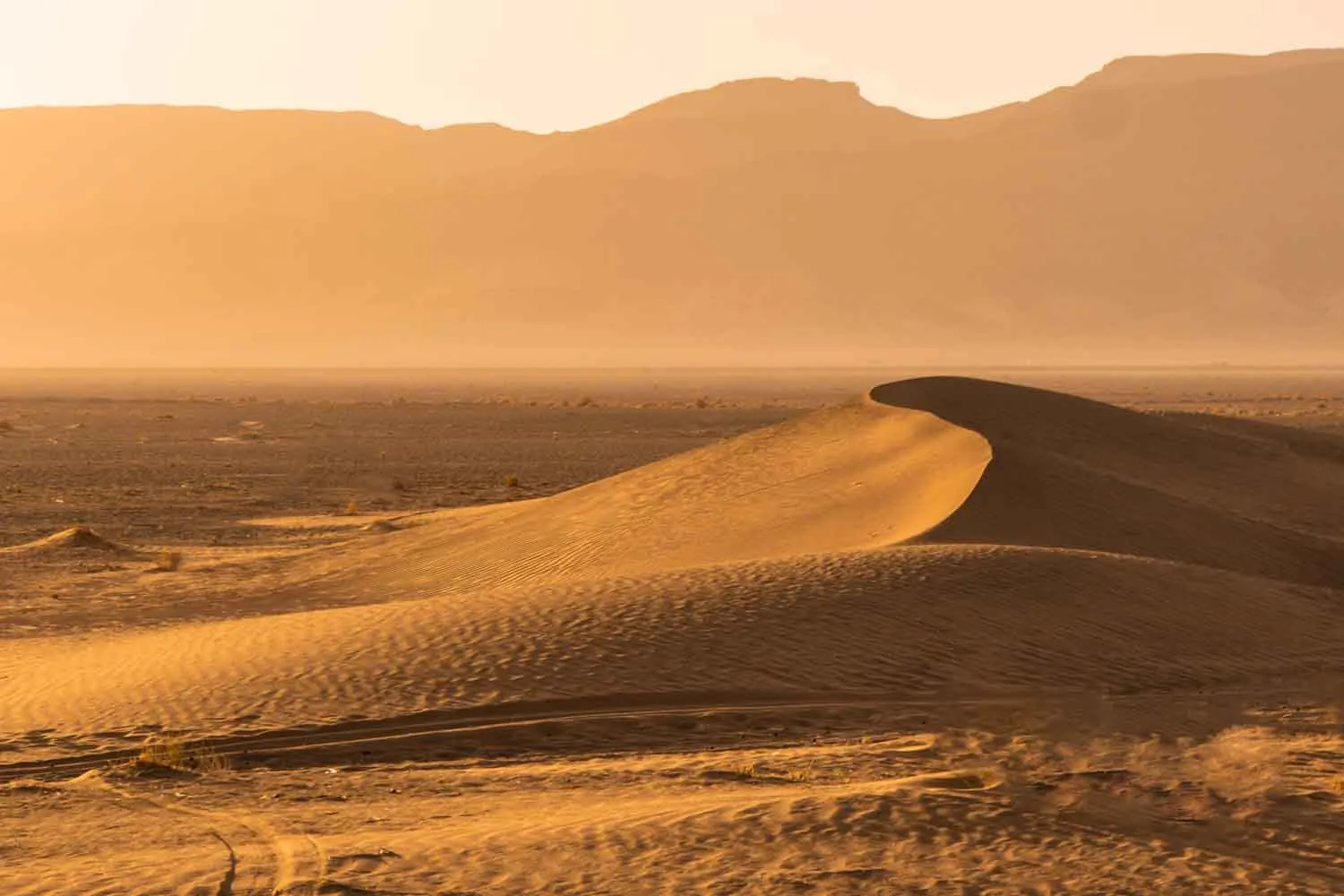 I Neanderthal si spinsero fino al deserto? La risposta si nasconde in 24 antichi strumenti in pietra scoperti in Arabia