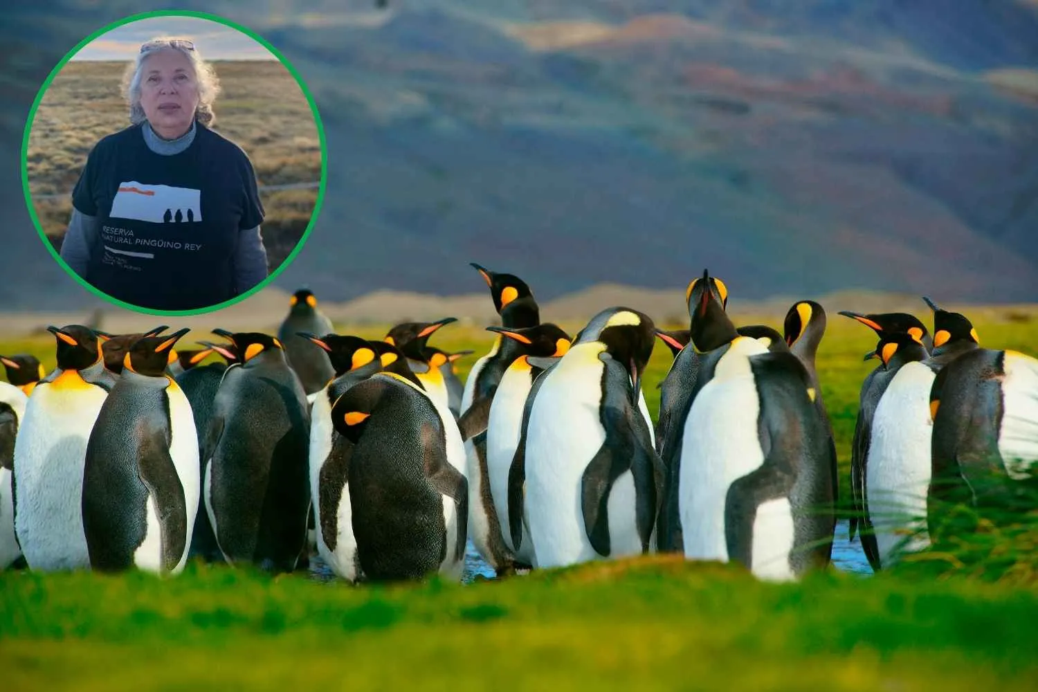 Ti racconto la storia della signora dei pinguini alla fine del mondo