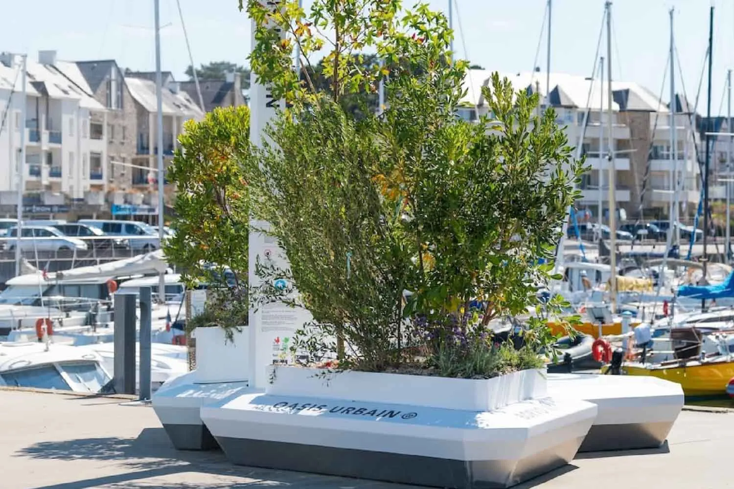Questa start-up francese ha inventato una fioriera urbana che produce acqua dall’aria e irriga da sola le sue piante