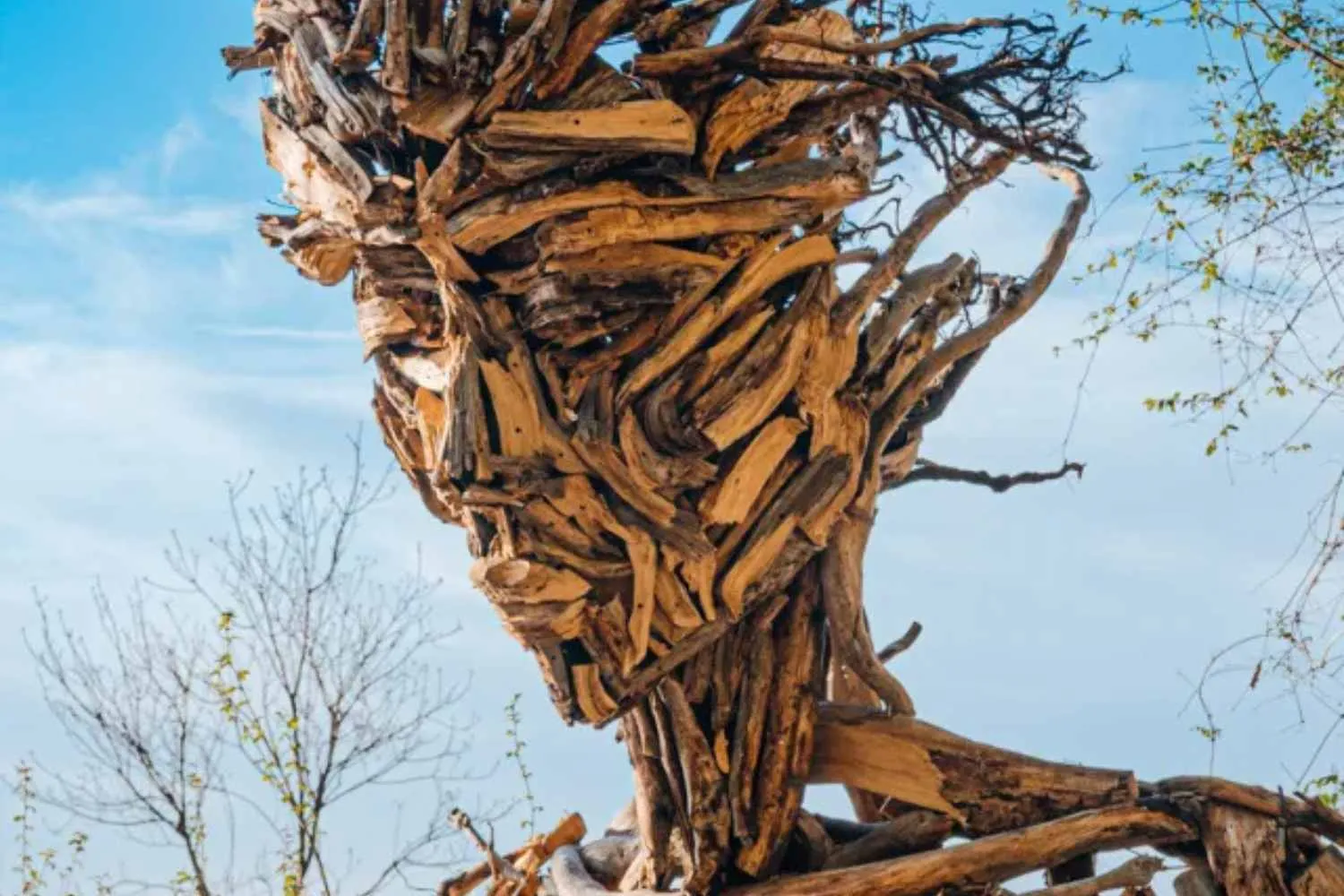 Nel bosco dei Castelli Romani è spuntata una donna di legno alta quattro metri