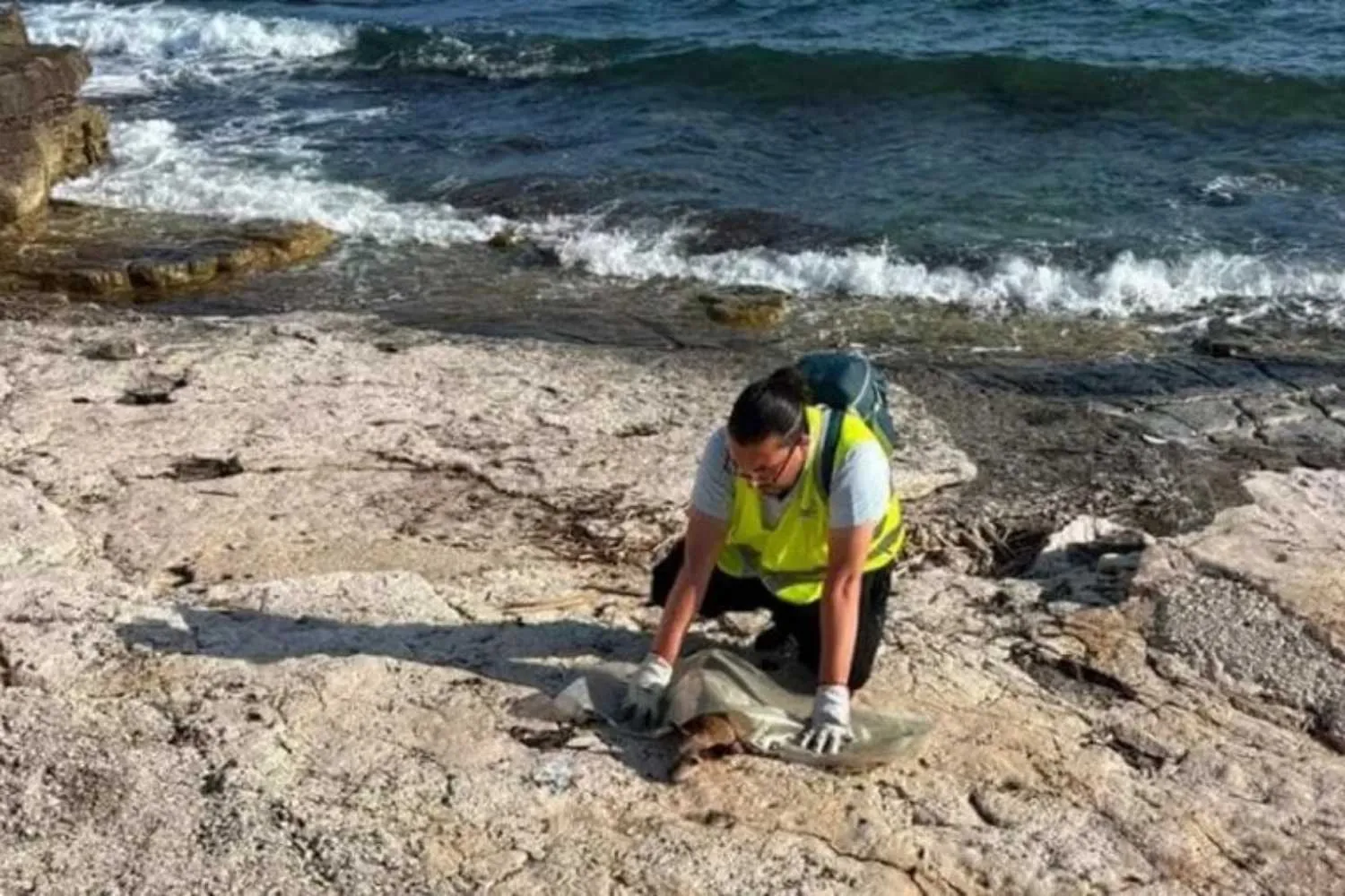 Cane anziano rischia di annegare tra le onde: salvato da due operatori ecologici con massaggio cardiaco