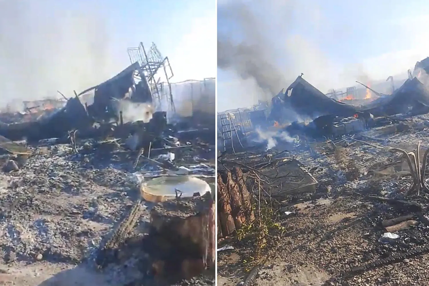 Incendio doloso distrugge l'Oasi Argo di Cirò Marina, arsi vivi sei cani disabili: “non ci fermeranno” (e parte la raccolta fondi)
