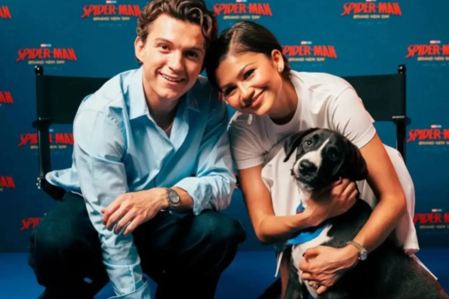 Tom Holland e Zendaya lanciano un appello per trovare una famiglia a 4 cani: l'irresistibile campagna per il lancio di Spider-Man: Brand New Day