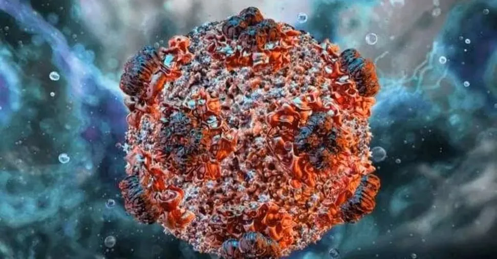 Hantavirus: cosa dicono i numeri e perché l'attenzione resta alta fino a inizio giugno