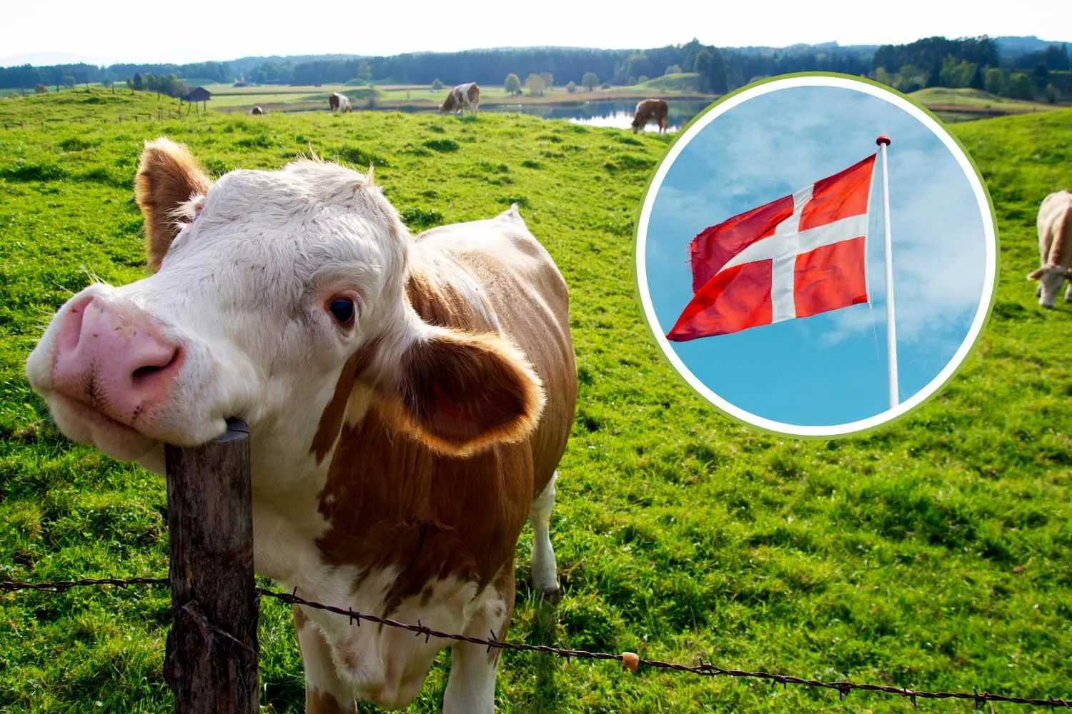 La Danimarca dice addio al Ministero dell'Agricoltura: sarà sostituito da quello per la Natura e il Benessere degli animali