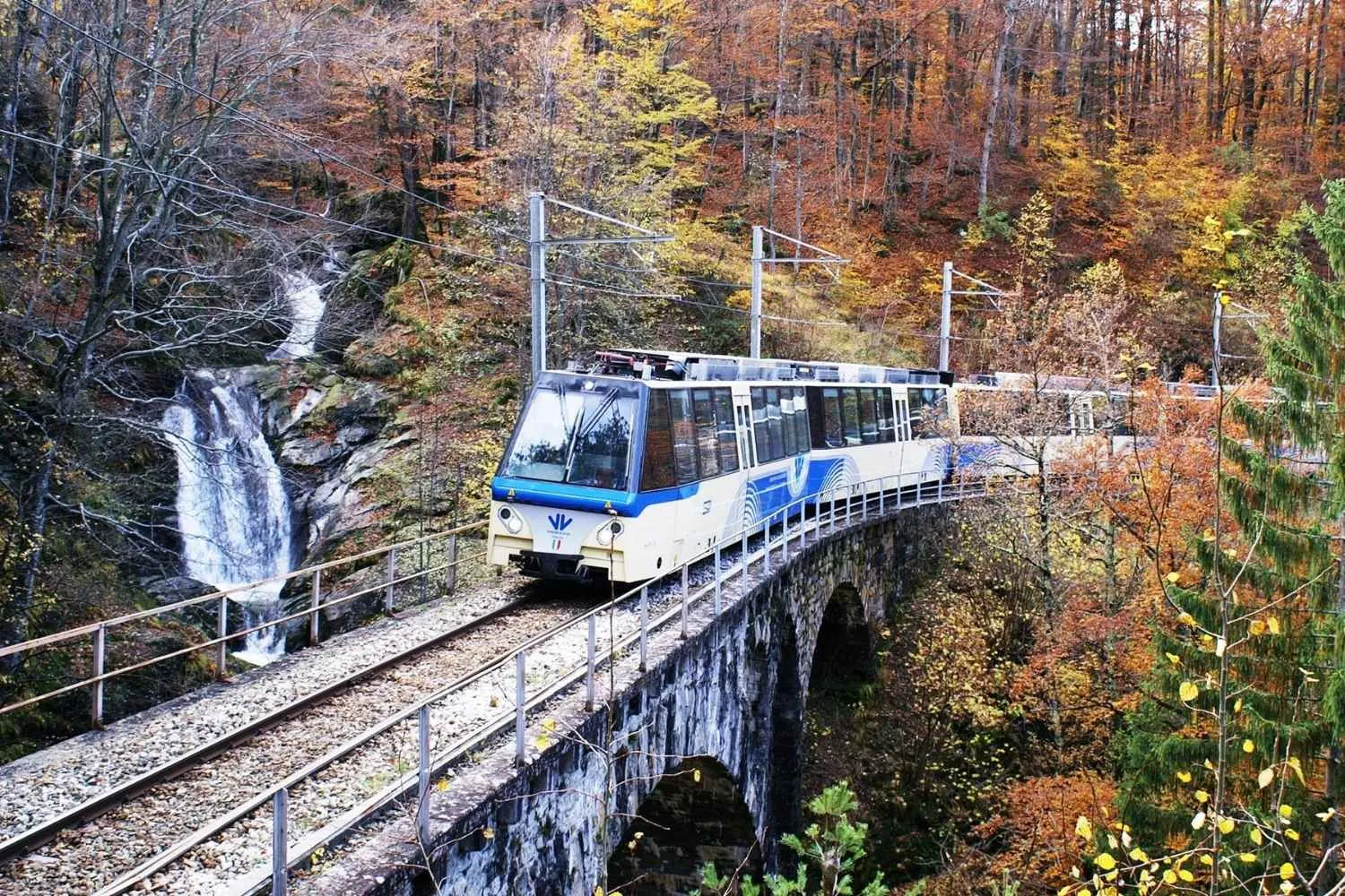 Il Treno del Foliage è pronto a ripartire, torna l'imperdibile viaggio autunnale fra i boschi variopinti: come prenotare