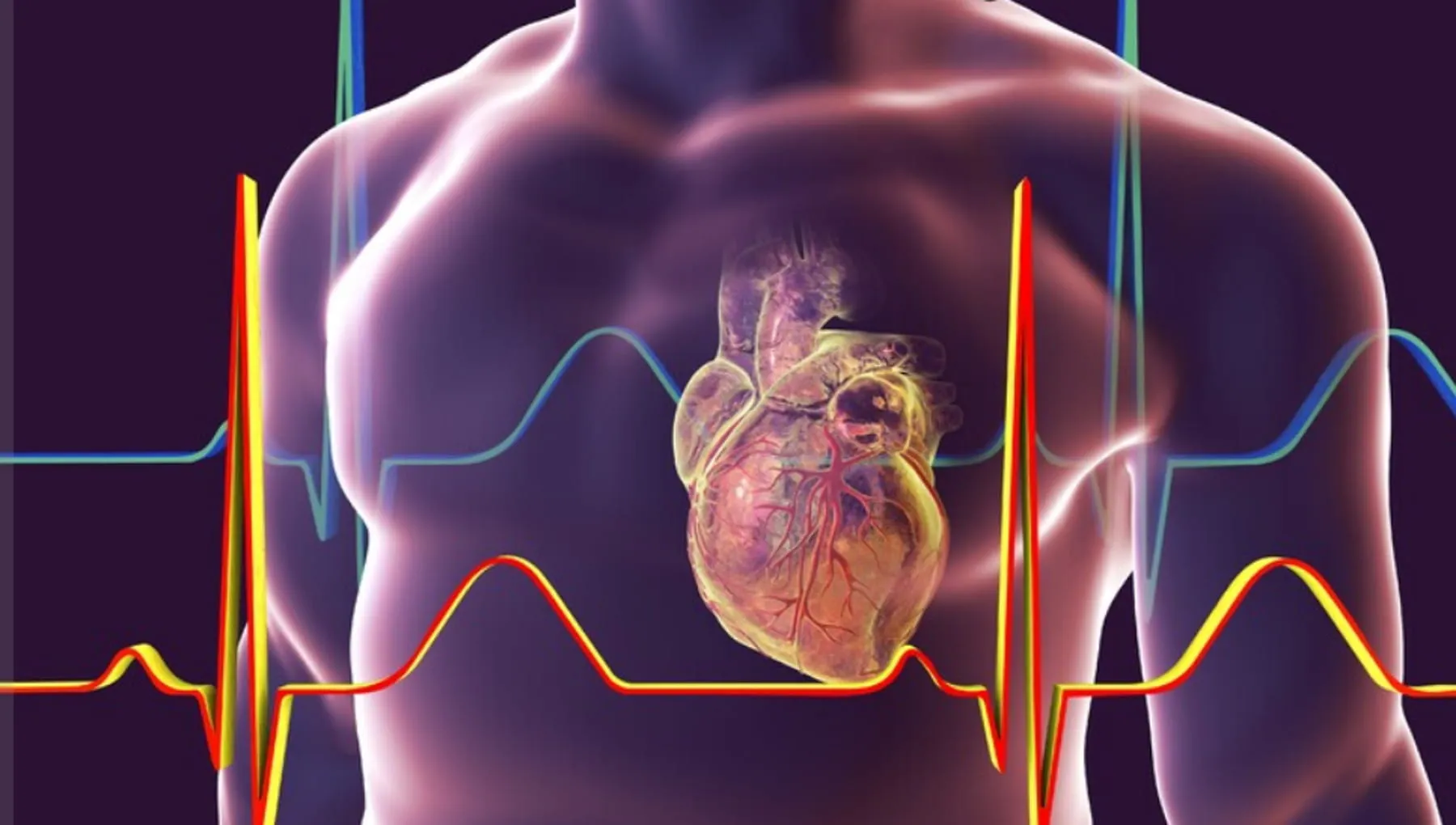 Infarto, ictus e non solo: un test basato sull’IA dirà chi è a rischio 15 anni prima