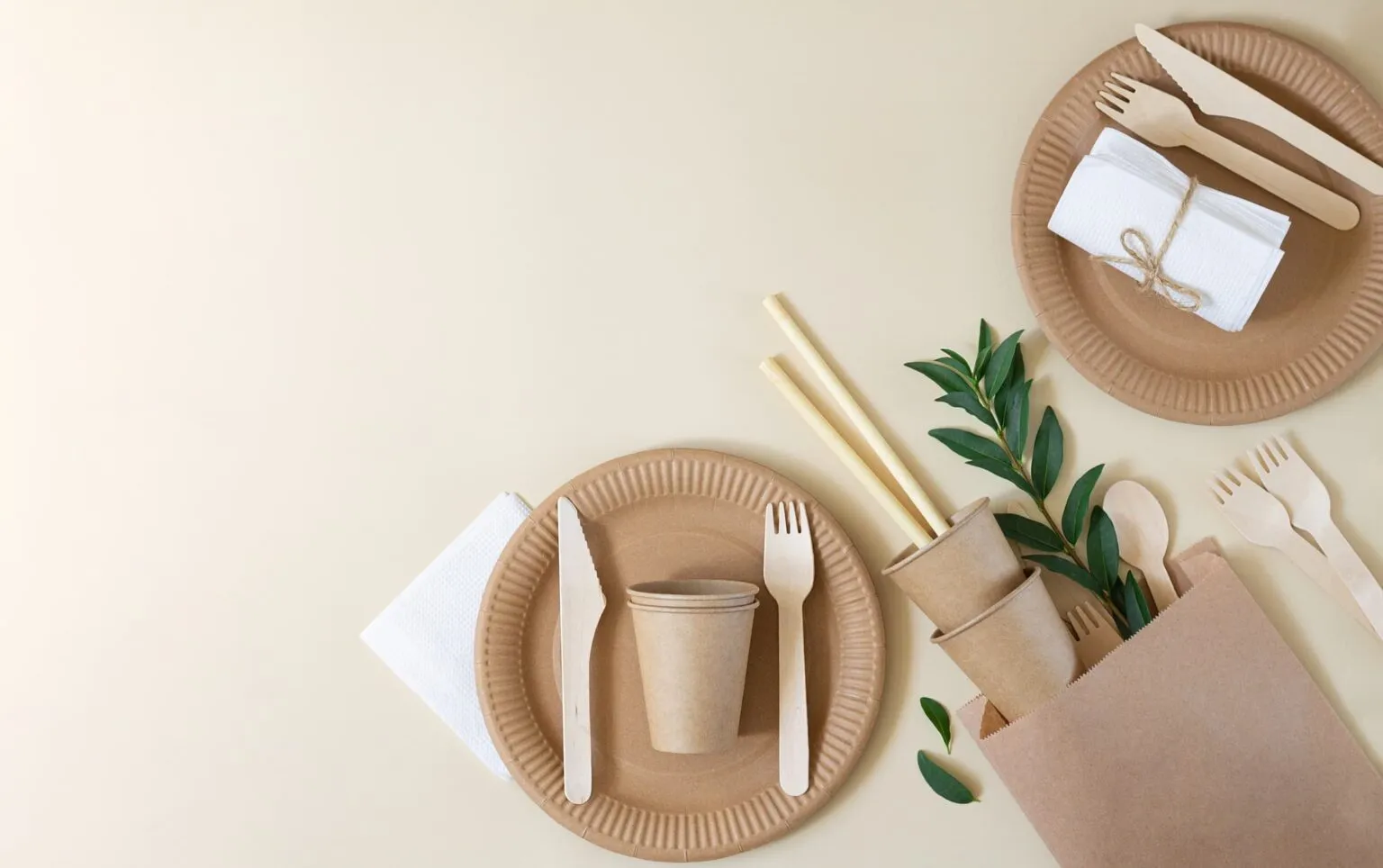 Il vero impatto della plastica monouso sull’ambiente – Ecoblog