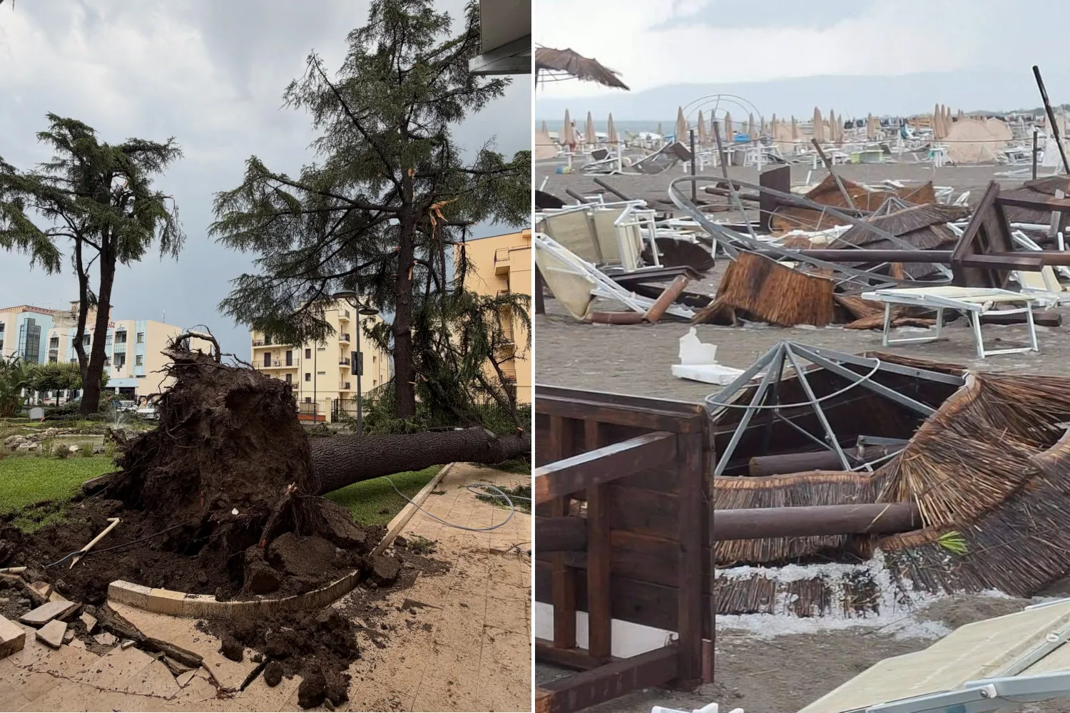 Tromba d'aria devasta Policoro e il Metapontino, alberi secolari abbattuti e lidi distrutti: “danni per milioni di euro”