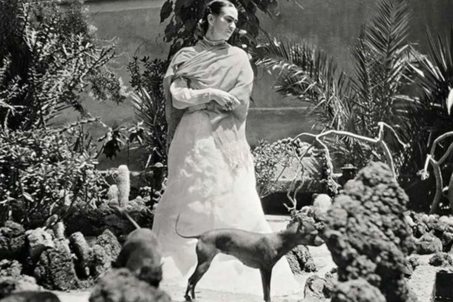 Perché Frida Kahlo viveva circondata da animali? La storia delle scimmie, dei cani e dei pappagalli della Casa Azul