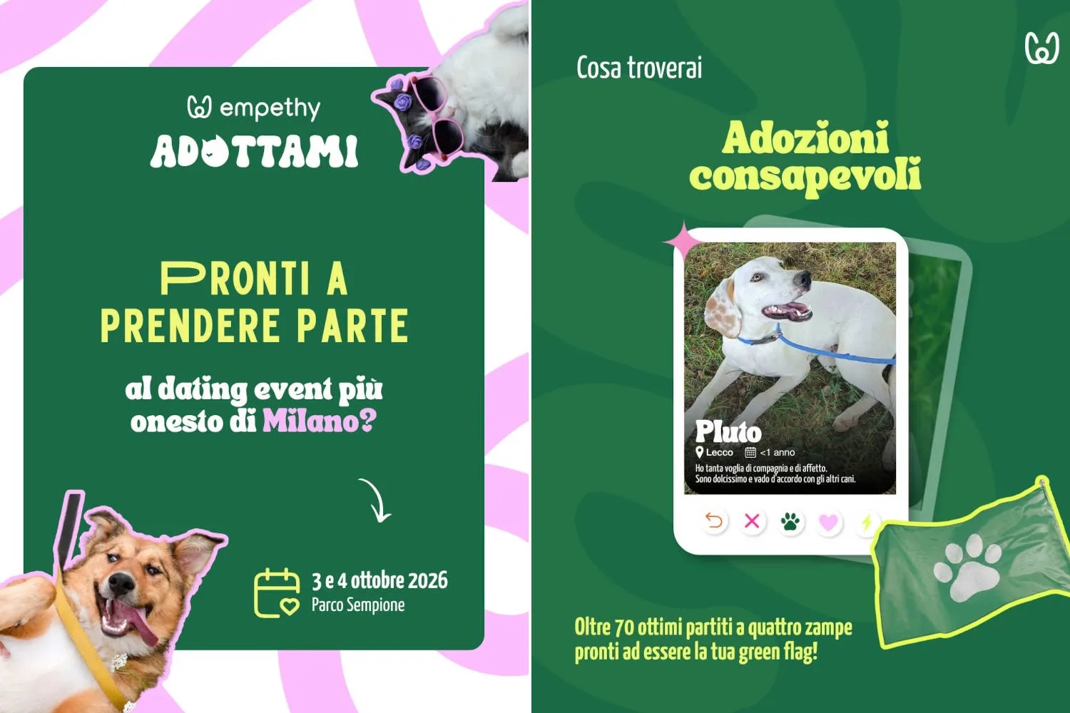 Speed date a quattro zampe: a Milano arriva “AdottaMi” per trovare il cane che ti farà battere il cuore