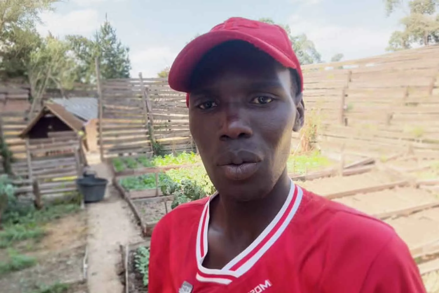 Alberi per trattenere l'azoto e tecniche di semina intelligenti: così gli agricoltori della Tanzania si stanno adattando alle precipitazioni imprevedibili