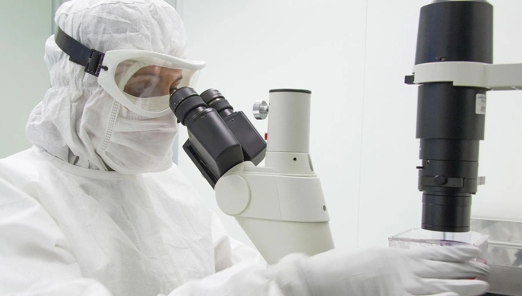 Correggere il Dna da piccoli: la nuova frontiera contro talassemia e anemia falciforme