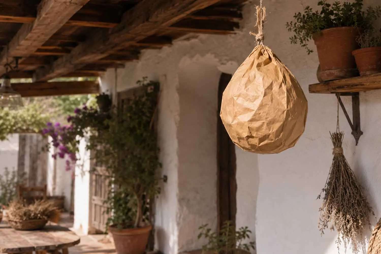Calabrone asiatico, il semplice trucco del sacchetto di carta del pane per tenerli lontani da casa e giardino