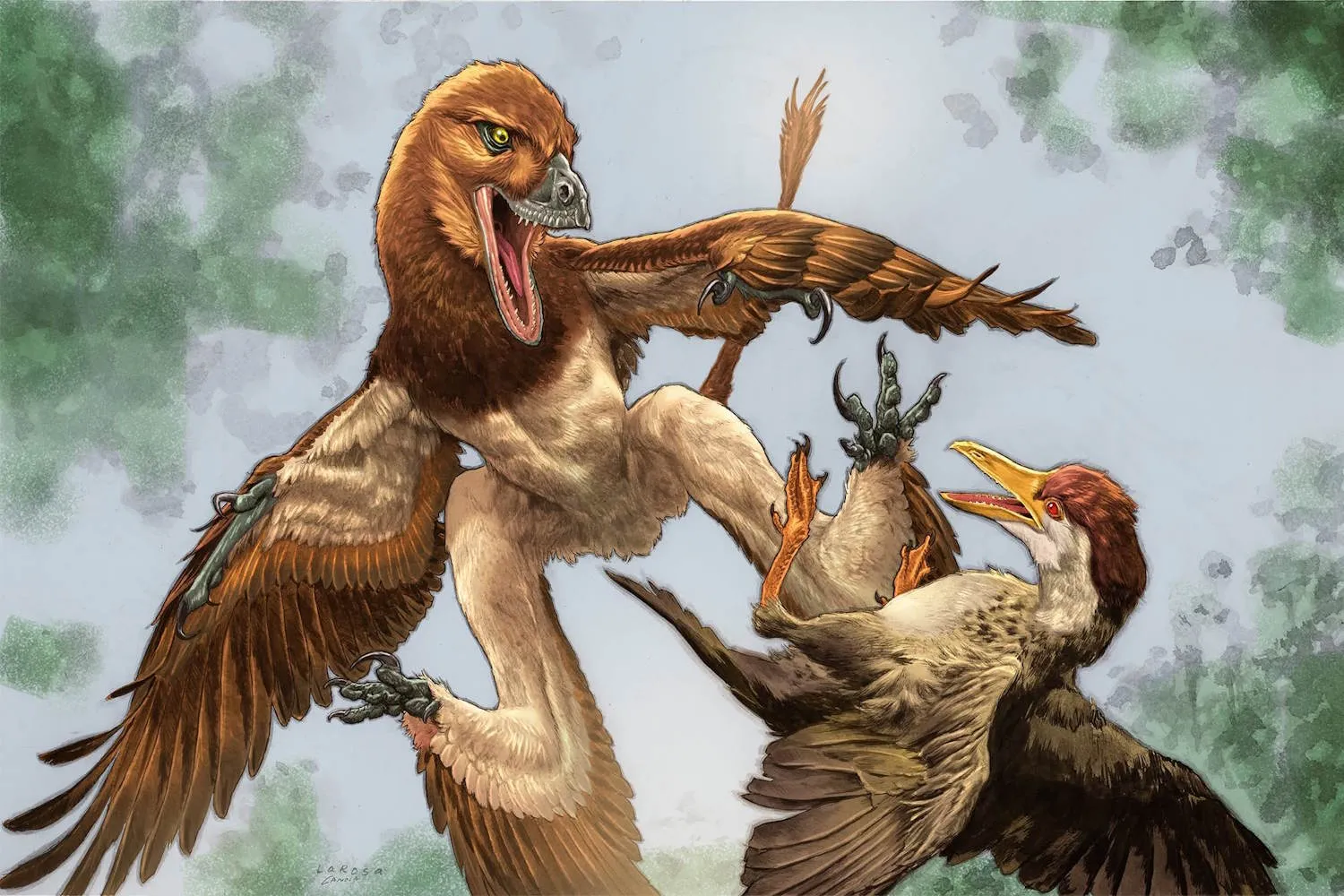 Gli scienziati hanno scoperto un nuovo dinosauro in Cina, è un “drago a quattro ali”
