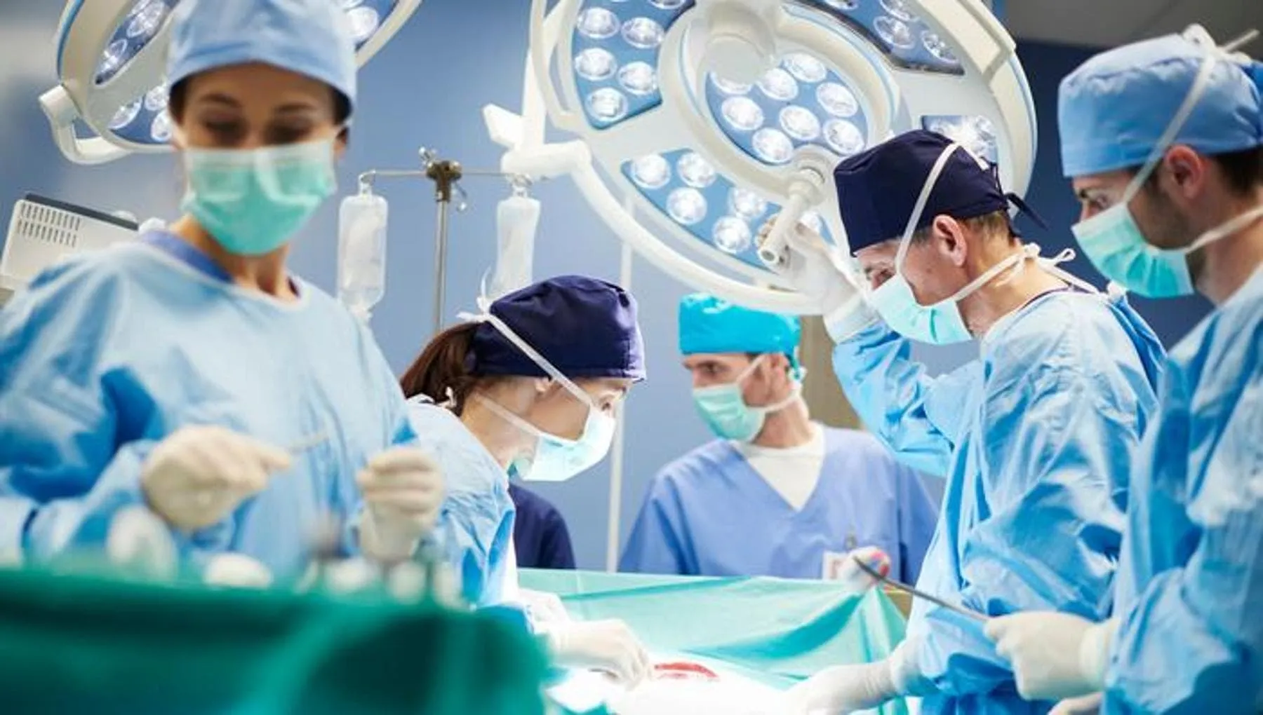 Xenotrapianti, un uomo con diabete vive 9 mesi con rene di maiale prima del trapianto umano