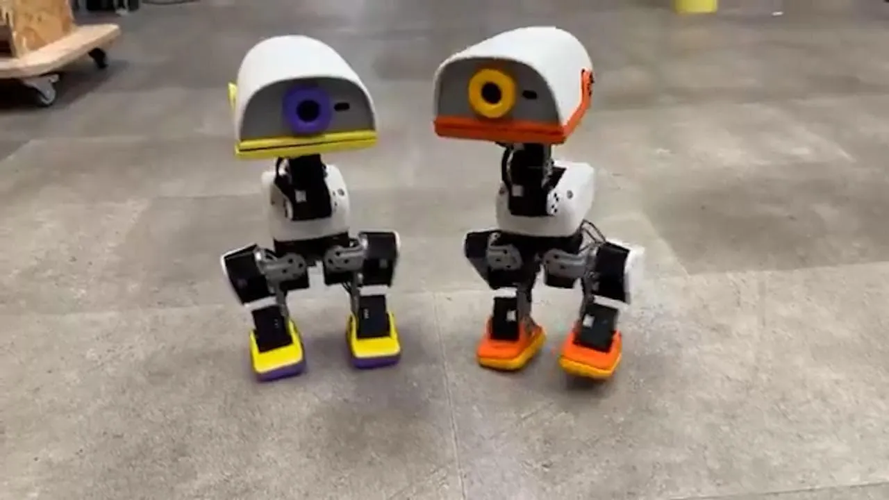 Il robot-anatra di Hugging Face è già un caso: ordini per 2,6 milioni di dollari in 24 ore