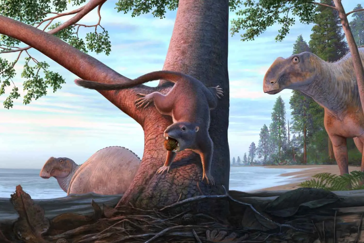 Questo mammifero preistorico (piccolo come un criceto) è sopravvissuto all'estinzione dei dinosauri