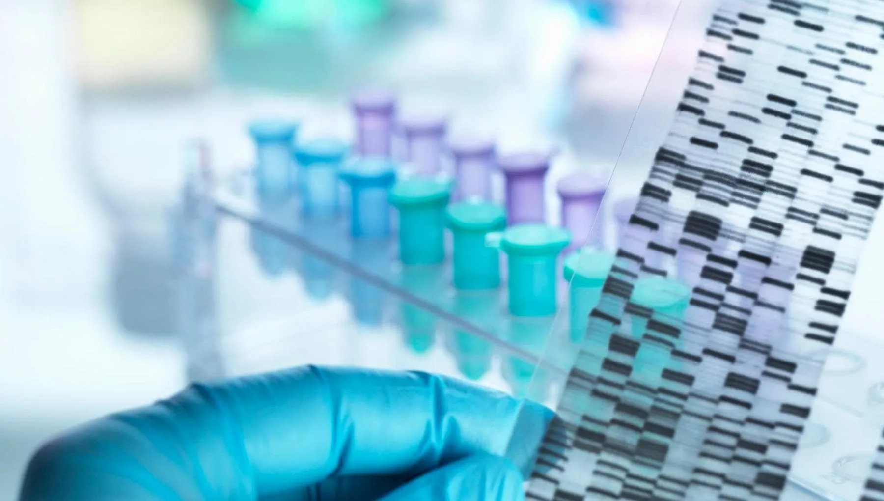 Dalle tossine degli scorpioni alla longevità, i big dell’IA investono nella biologia