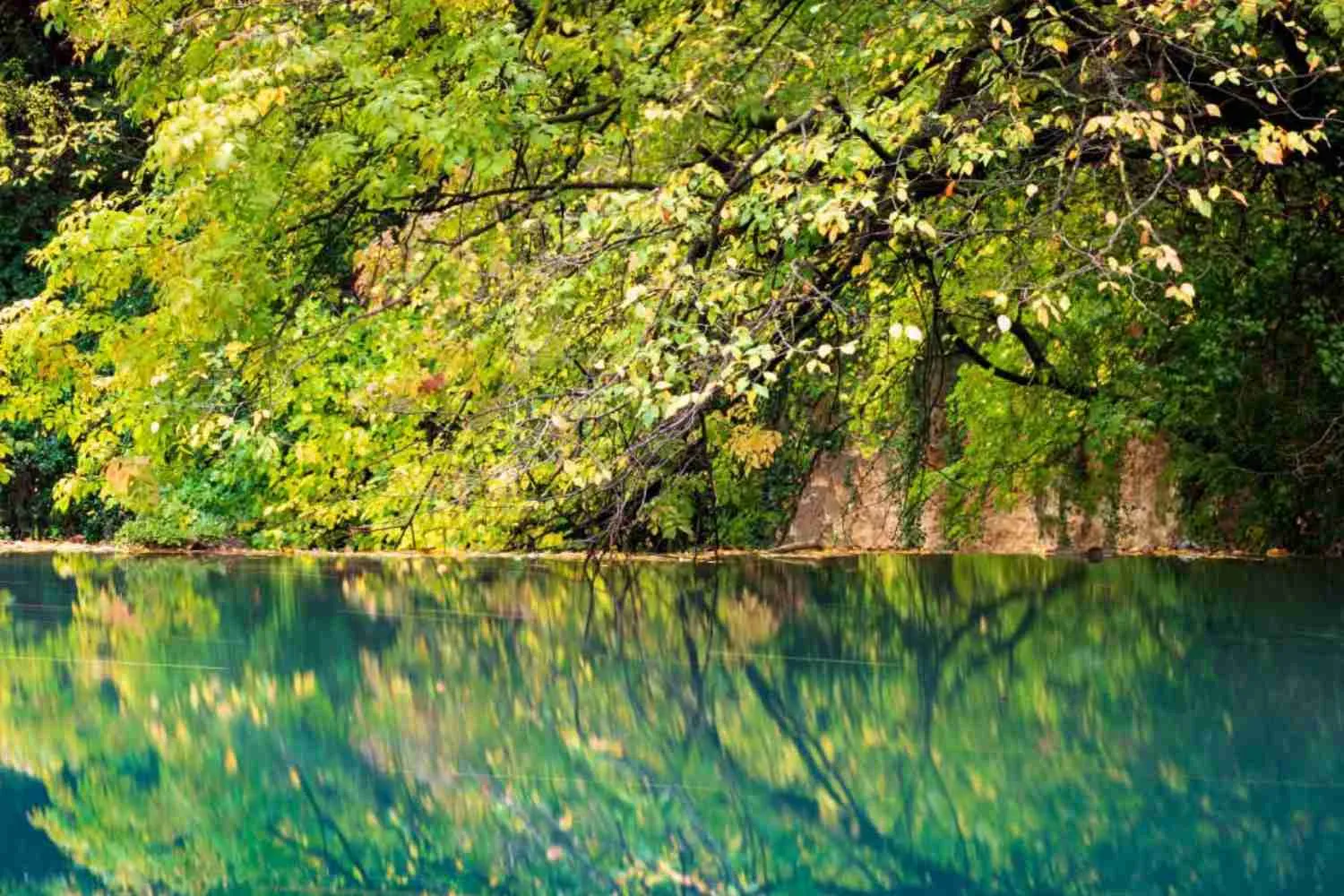 Nel Parco Fluviale dell'Elsa scatta il divieto di balneazione: stop anche ai picnic (per proteggere l'ecosistema dall'assalto dei turisti)
