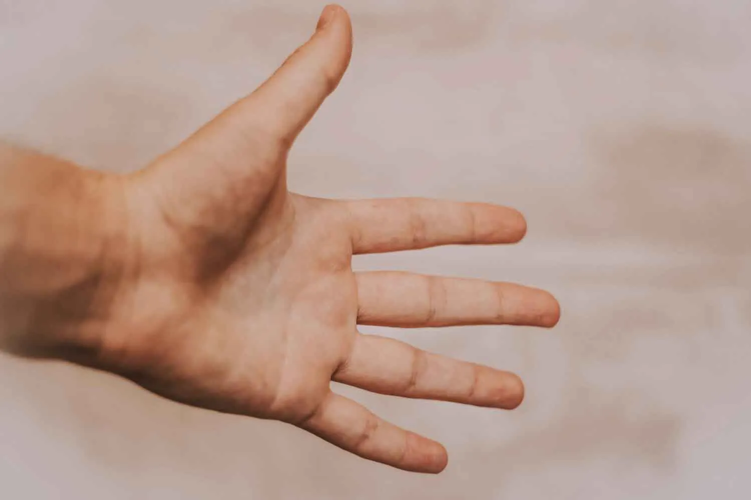 Perché le dita della mano hanno lunghezze diverse? Per una ragione sorprendentemente utile